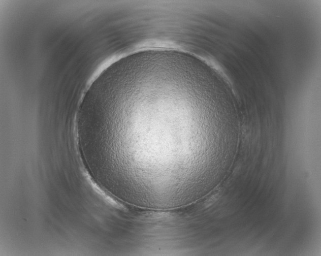 X0000078291382200611172111