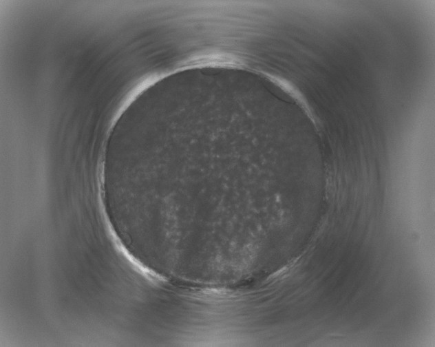 X0000078291383200611172111