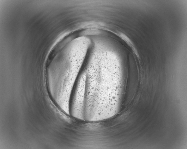 X0000078291384200611172111