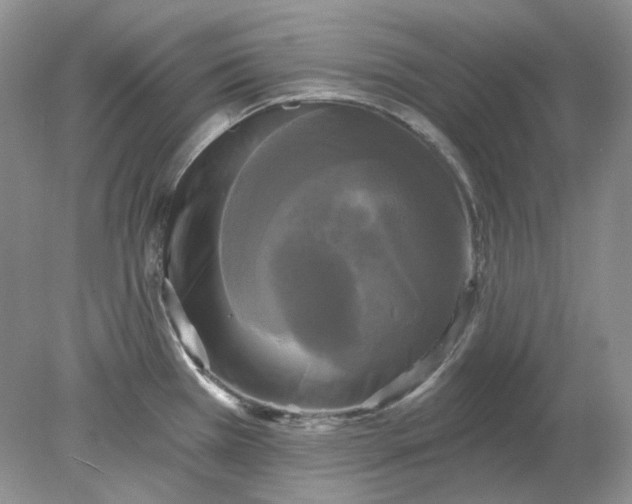 X0000078291385200611172111