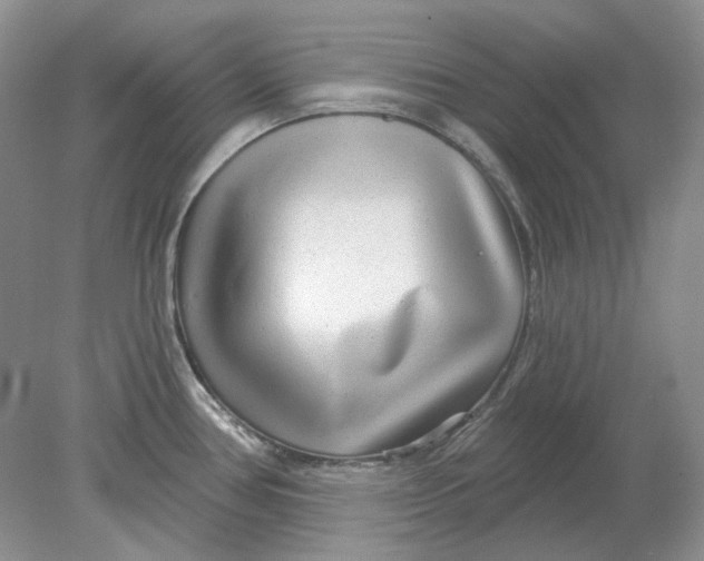 X0000078291386200611172111