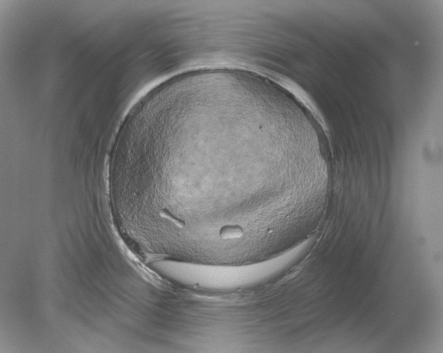 X0000078291388200611172111