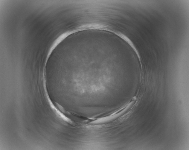 X0000078291389200611172111