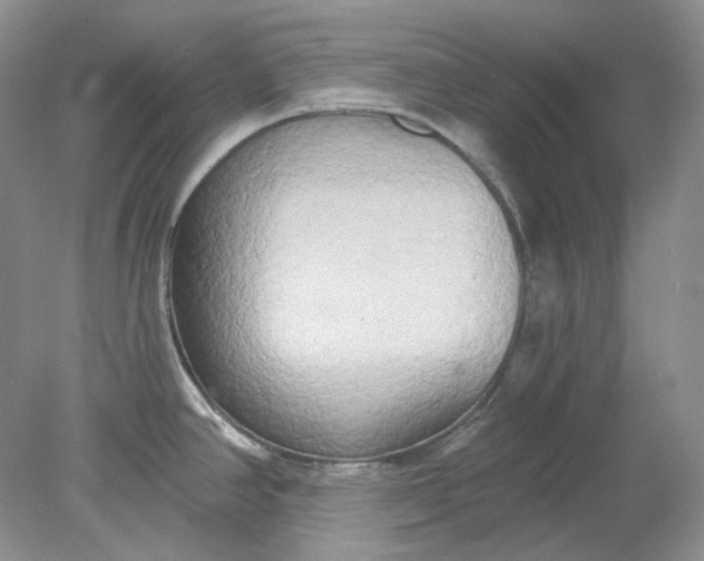 X0000078291390200611172111