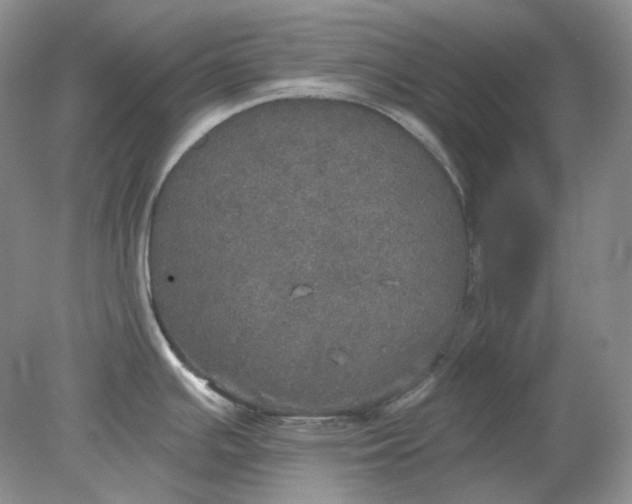 X0000078291391200611172111