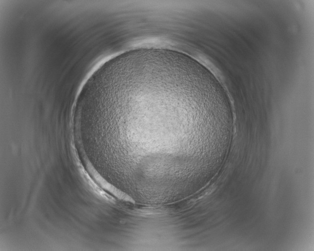 X0000078291392200611172111