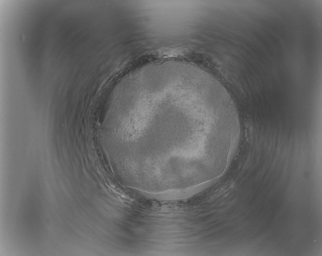 X0000078291393200611172110