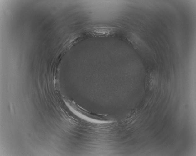 X0000078291394200611172110