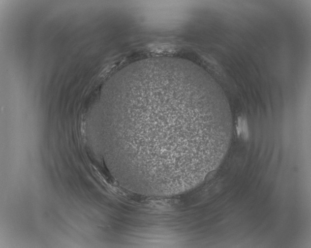 X0000078291396200611172110