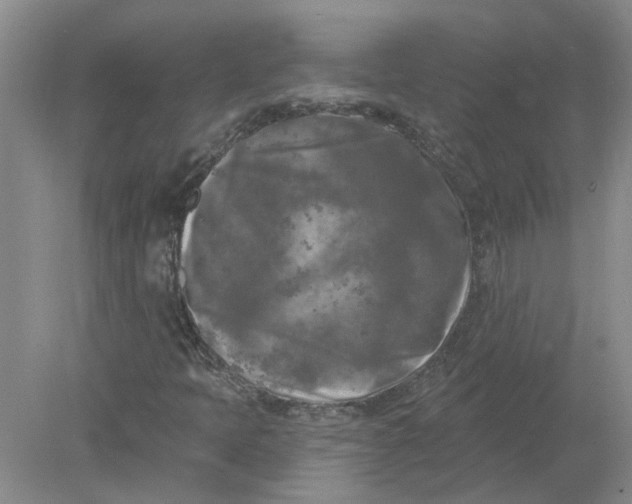 X0000078291397200611172110