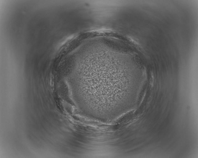 X0000078291398200611172110