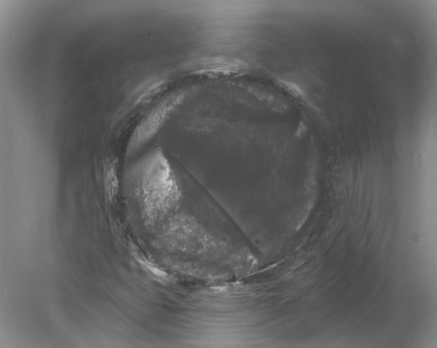 X0000078291399200611172110