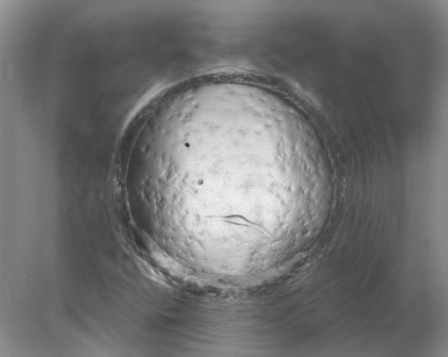 X0000078291400200611172110