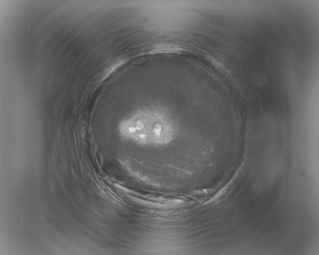 X0000078291401200611172110