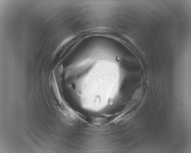 X0000078291402200611172110