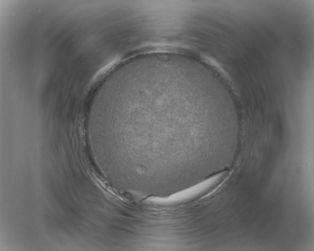 X0000078291403200611172110