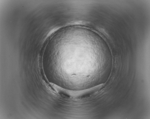 X0000078291404200611172110