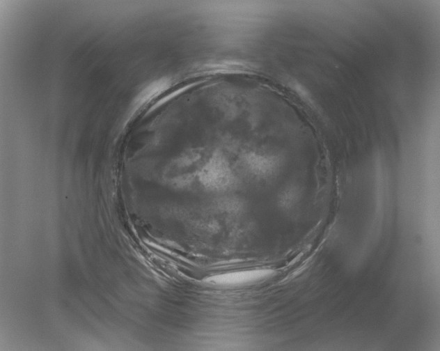 X0000078291405200611172110