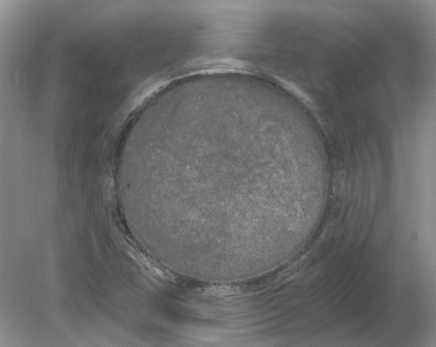 X0000078291407200611172110