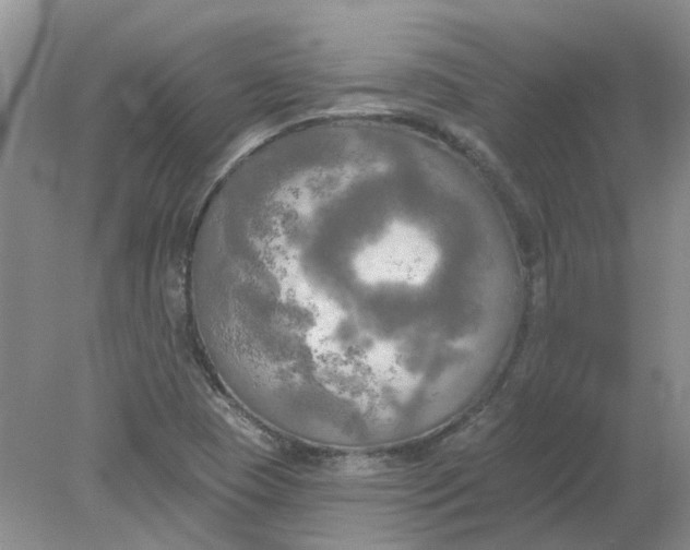 X0000078291409200611172110