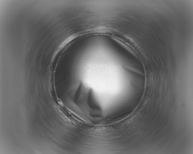 X0000078291410200611172110