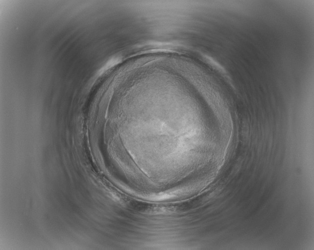 X0000078291411200611172110