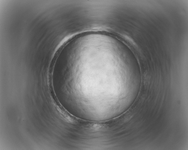 X0000078291412200611172110