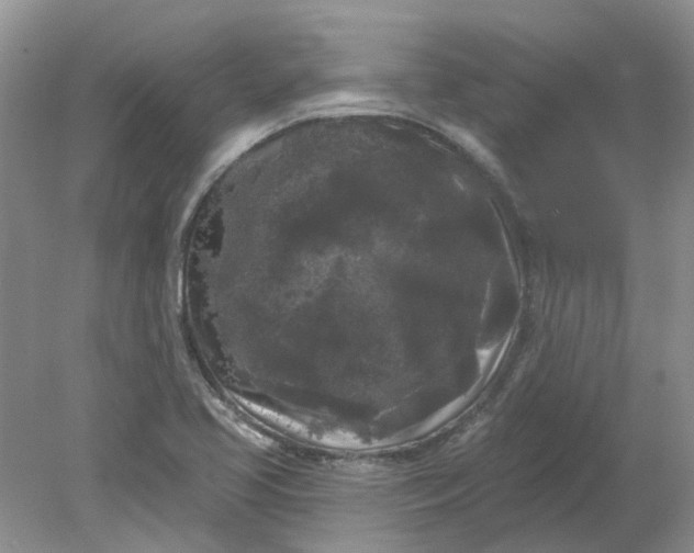 X0000078291413200611172110