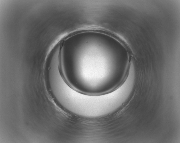 X0000078291414200611172110