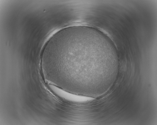 X0000078291415200611172110