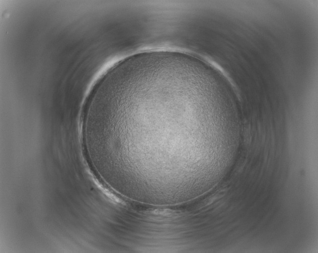 X0000078291416200611172110