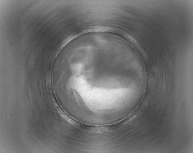 X0000078291417200611172110