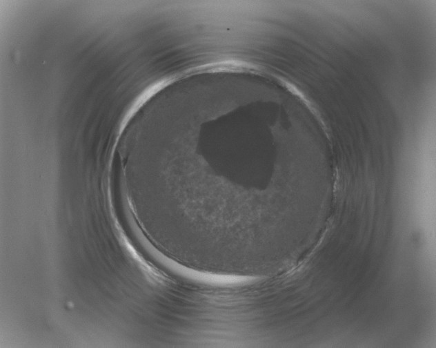 X0000078291418200611172110