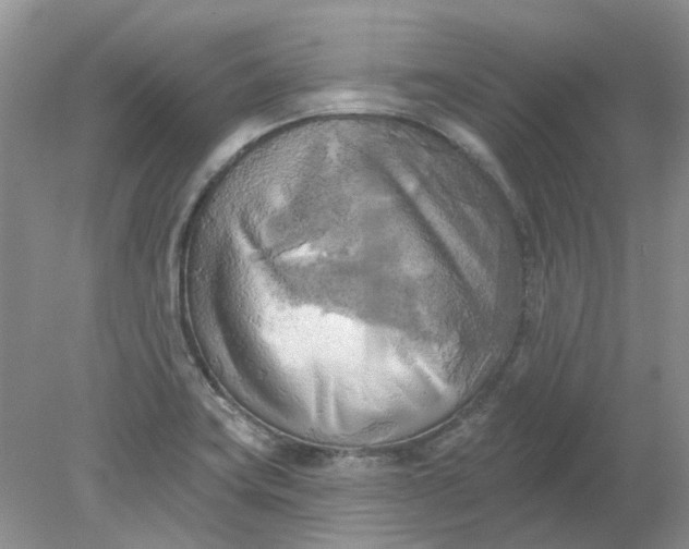 X0000078291419200611172110