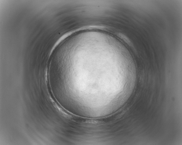 X0000078291420200611172110