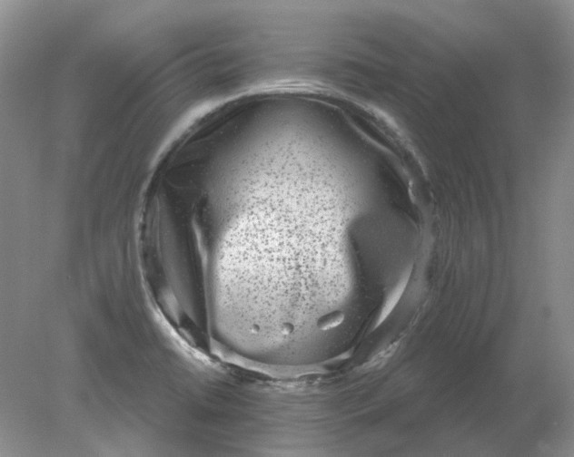 X0000078291422200611172110