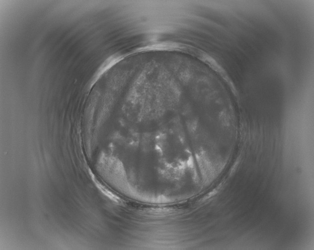 X0000078291425200611172111