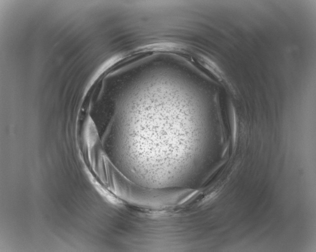 X0000078291426200611172111