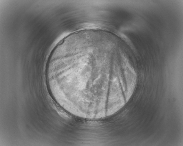 X0000078291427200611172111