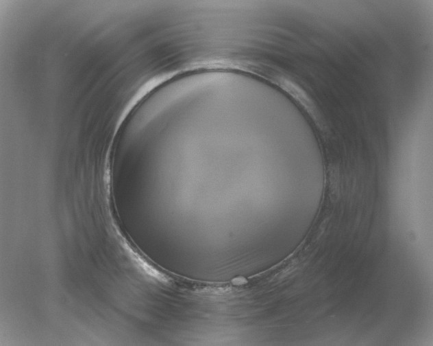 X0000078291428200611172111