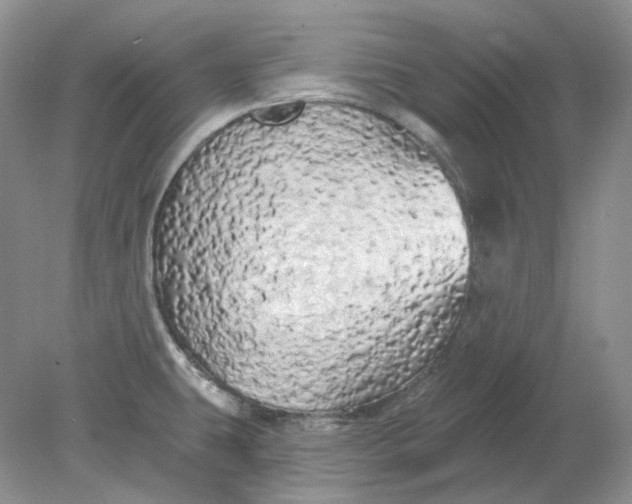 X0000078291431200611172111