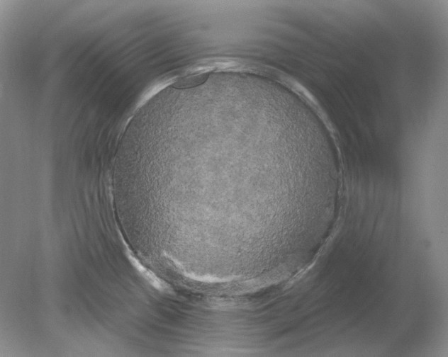 X0000078291433200611172111