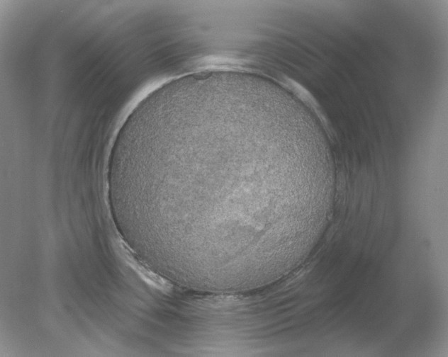 X0000078291435200611172111