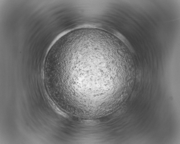 X0000078291436200611172111