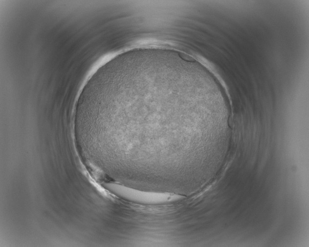 X0000078291437200611172111