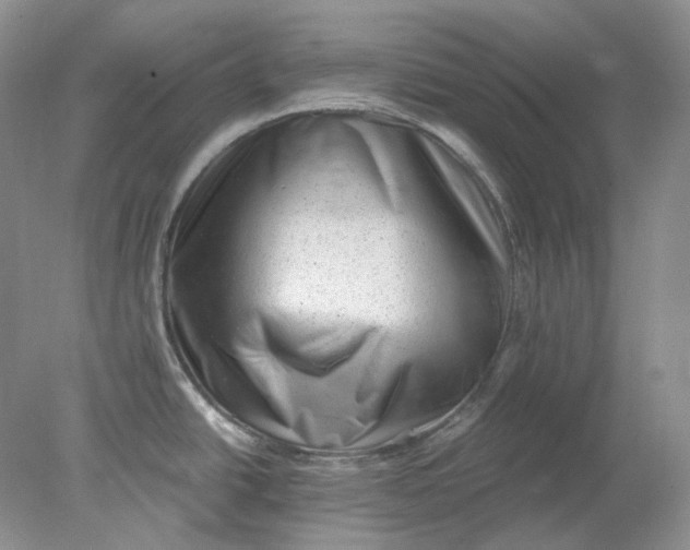 X0000078291438200611172111