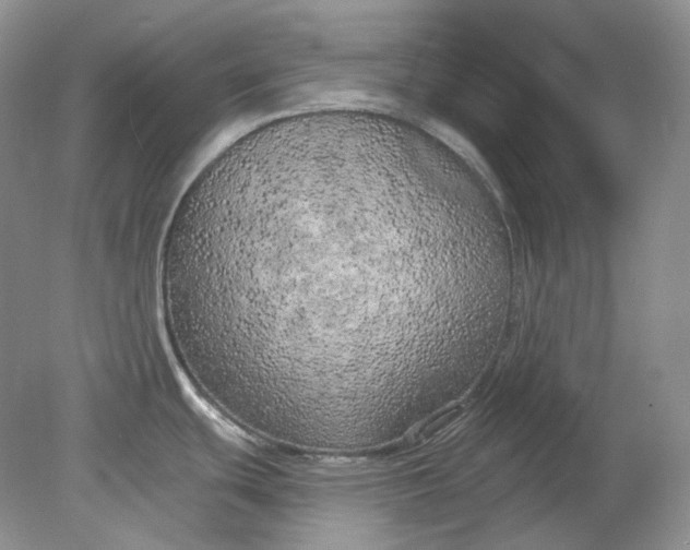 X0000078291439200611172111