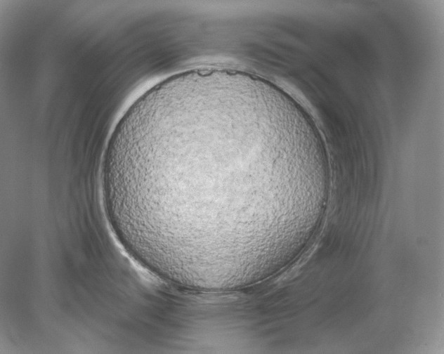 X0000078291440200611172111