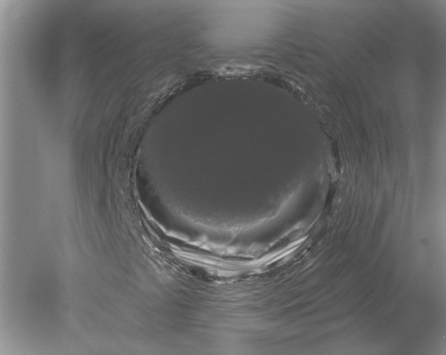 X0000078291441200611172110