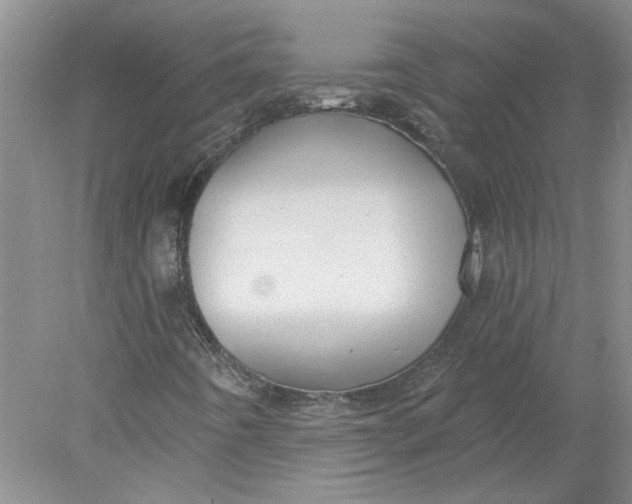 X0000078291442200611172110